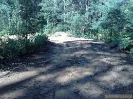 blue-range-bunyip-track