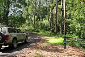 great-otway-4wd