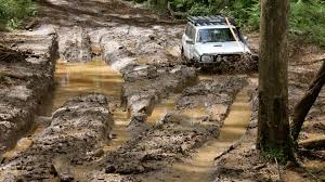 toolangi-4wd