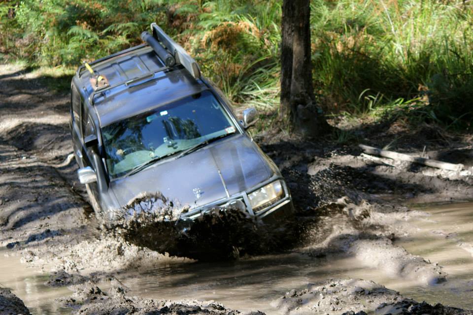 wombat-state-forest-4wd